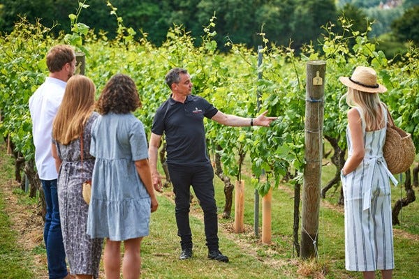 Vineyard Tour with Wine Tasting at Chapel Down Winery for Two | Buyagift