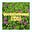 GoototheWeest EDM's avatar