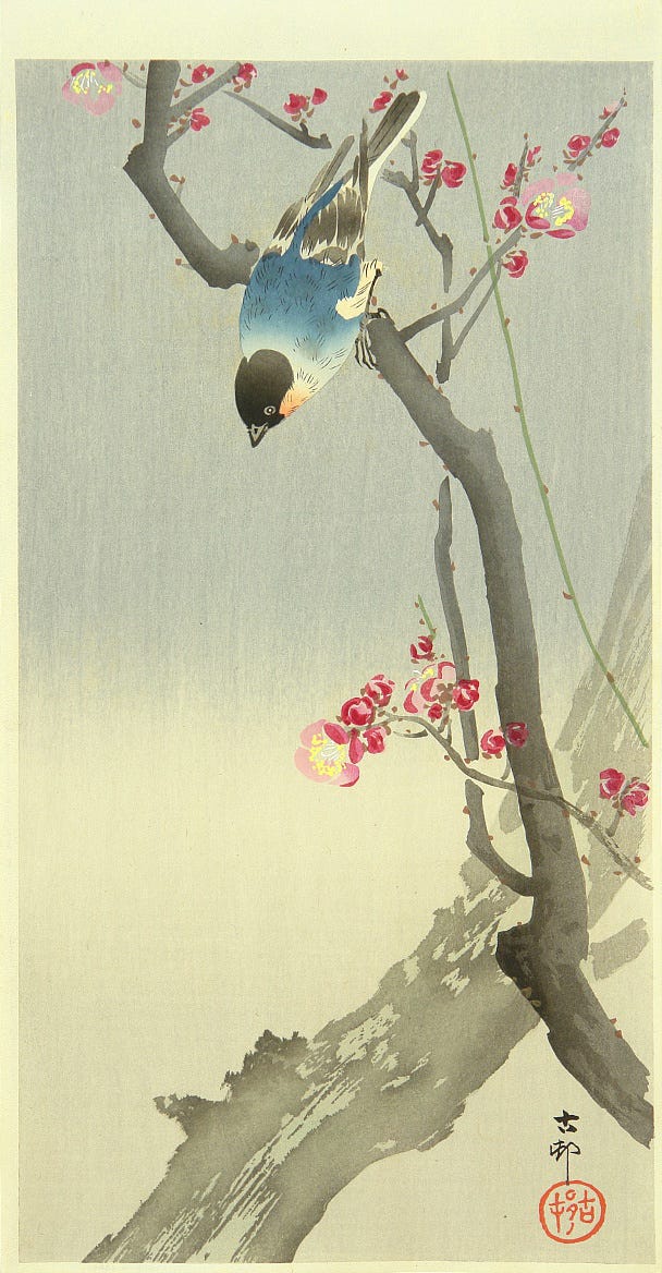 A single bird perched on a flowering branch against a plain pale ground in a Japanese print A single bird perched on a flowering branch against a plain pale ground in a Japanese print
