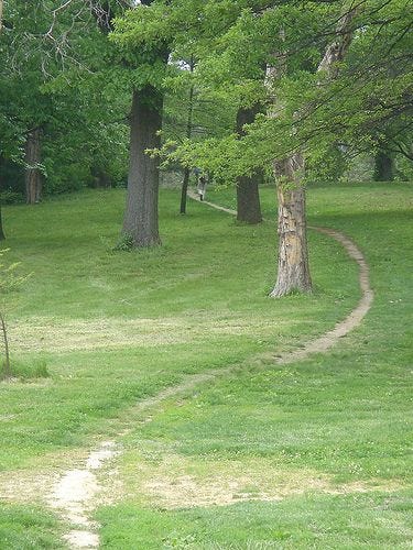 Desire Paths and Loneliness.