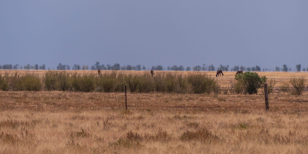 A Western Elopement