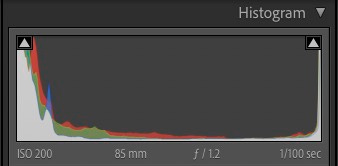 Histogram for the silhouette image below showing some detail retained in shadows and highlights beyond the range of the camera’s sensor.