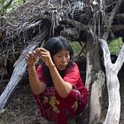 Can the Uncontacted Ayoreo Be Saved?