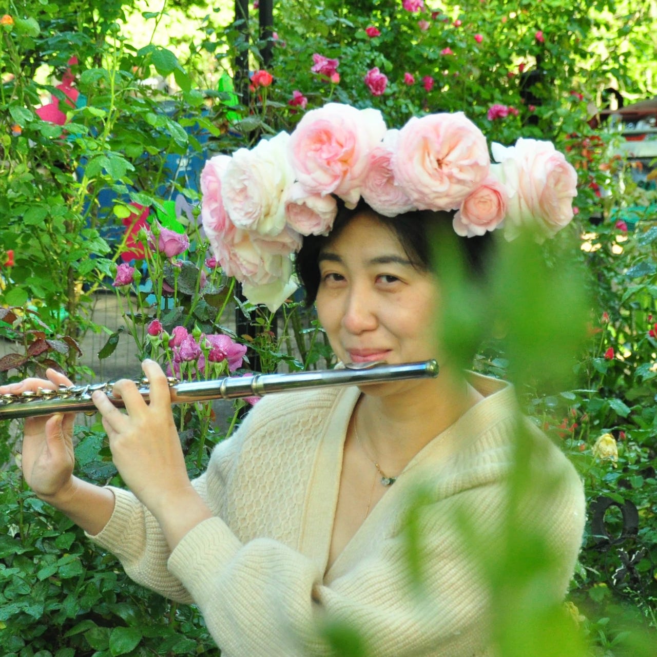 Susan STEM’s Entropy Control Theory