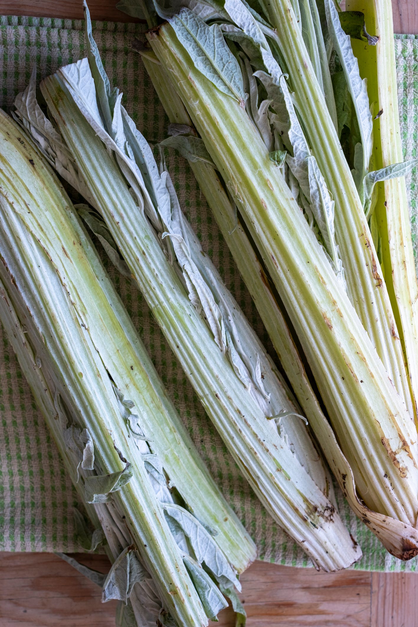 Cardoon hearts