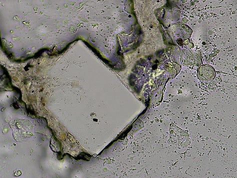 Nasal Sample developments