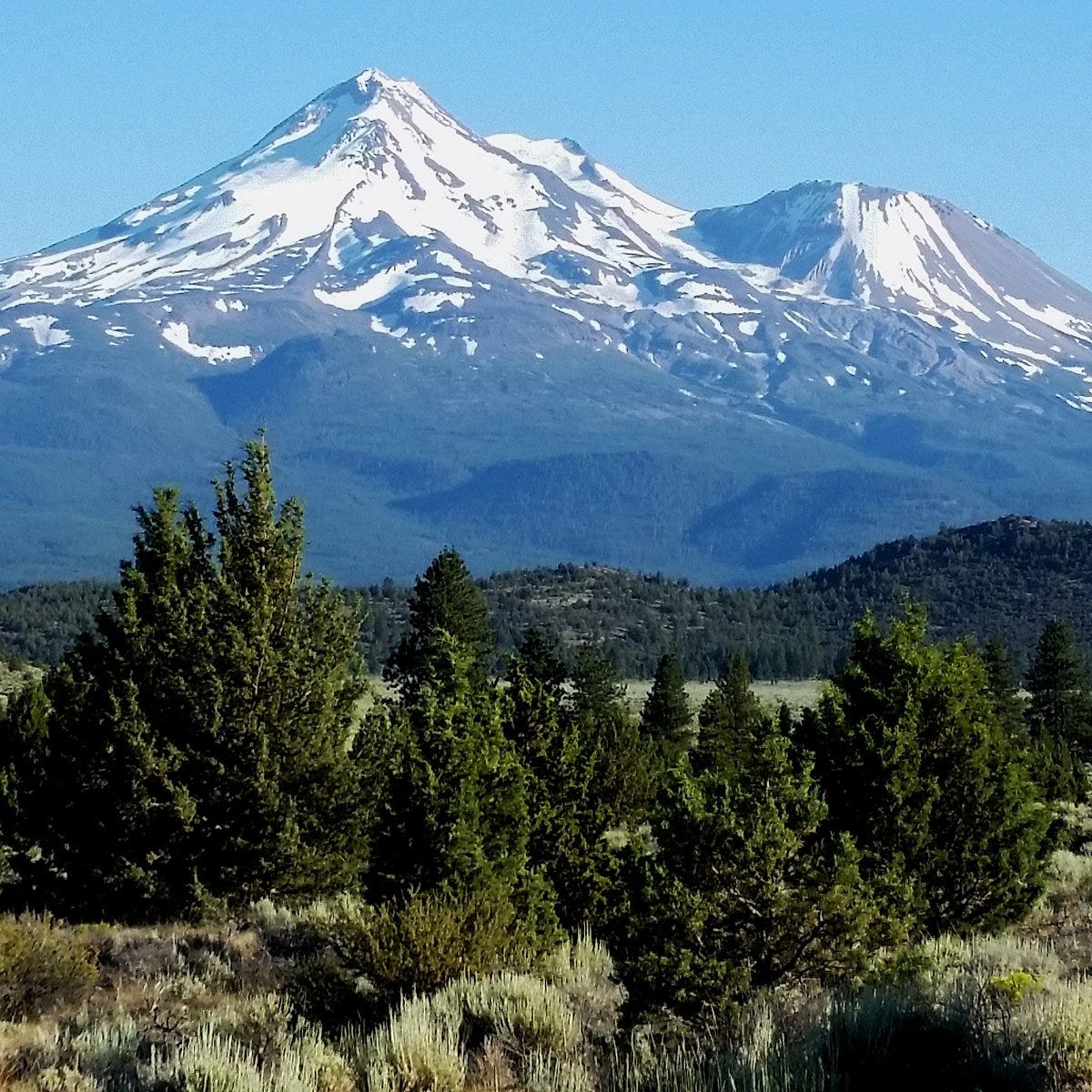 Mount Shasta - All You SHOULD Know Before Going 2026 (with Reviews) Mount Shasta - All You SHOULD Know Before Going 2026 (with Reviews)