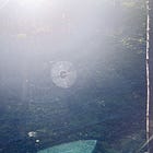 Using psychedelics in recovery, part 1