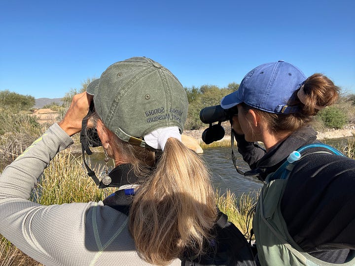 Emily and her mom using binoculars while looking into the distance, and a Sage Thrasher in the desert