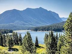 Image for the mini product module