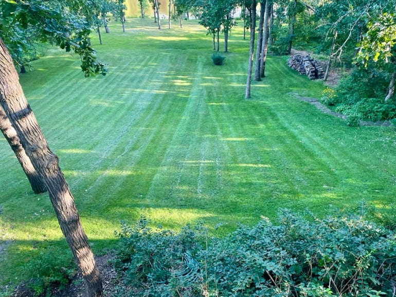 A lawn with trees and bushes

Description automatically generated