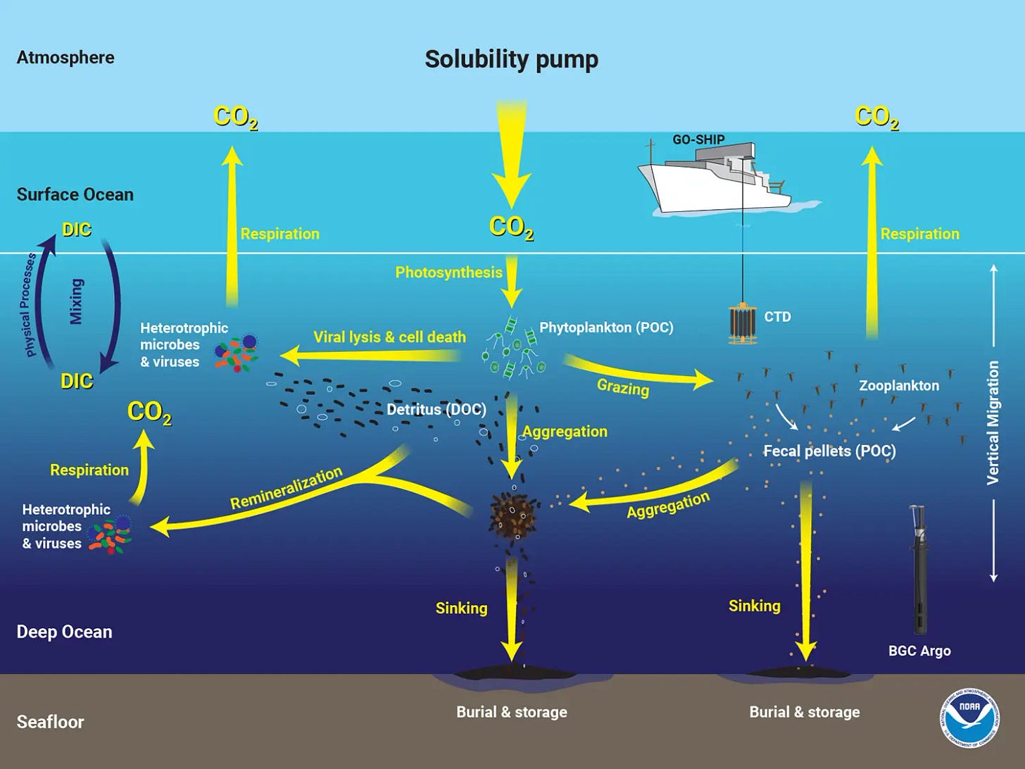 Ocean Carbon & Biogeochemistry - Global Ocean Monitoring and Observing