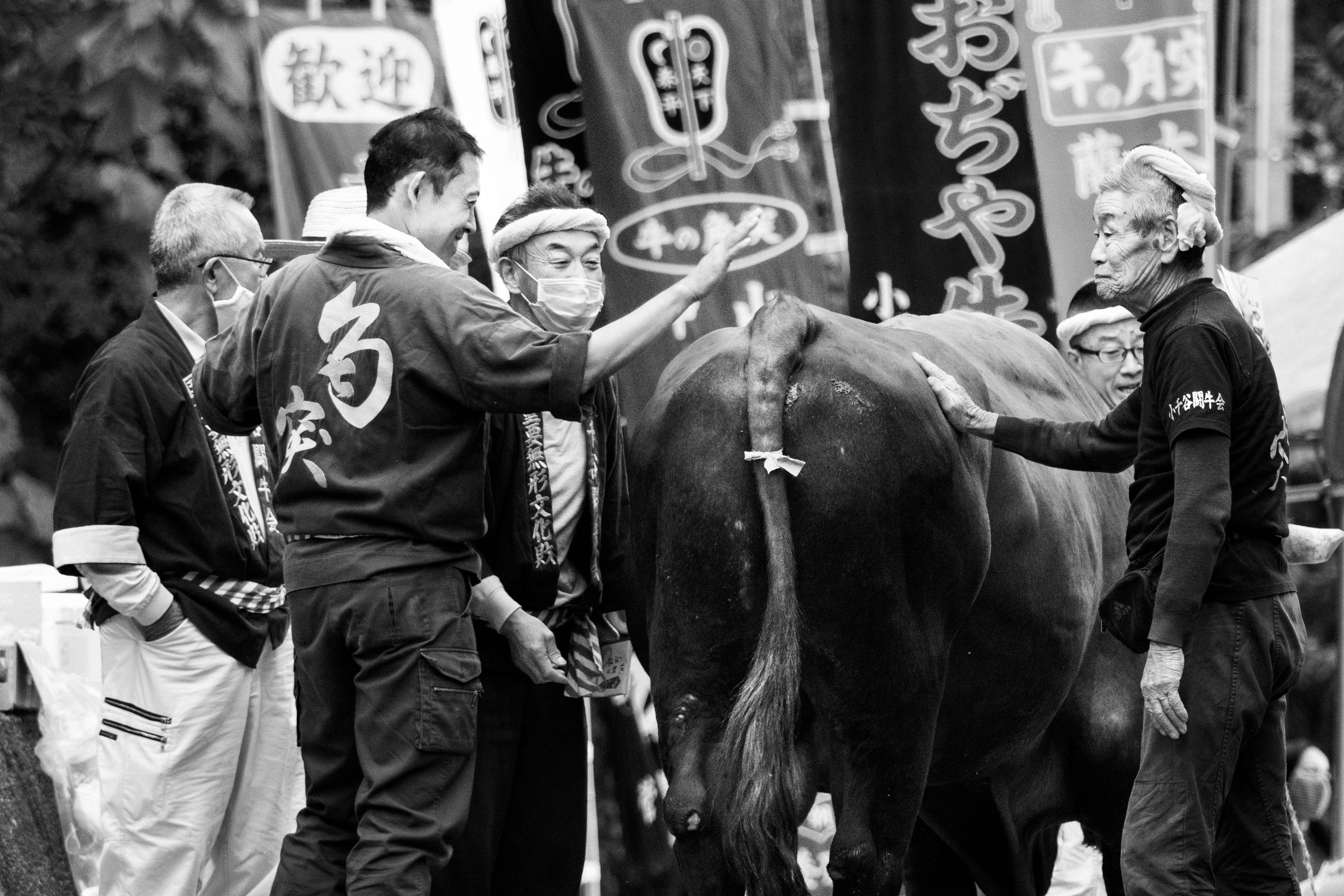 歴史は“みんな”で紡げるか：「パブリック・ヒストリー」の格闘 - WORKSIGHT