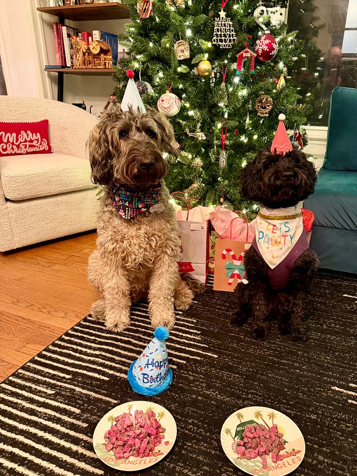 Ringo in a Menorah hat, Ringo and Stevie celebrating his birthday