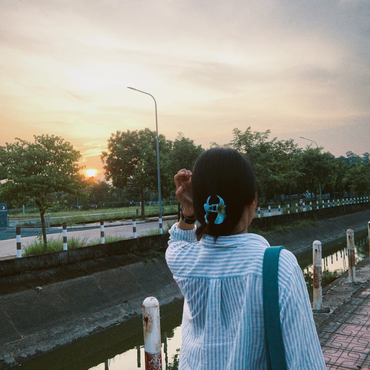 motchutthattha’s Newsletter