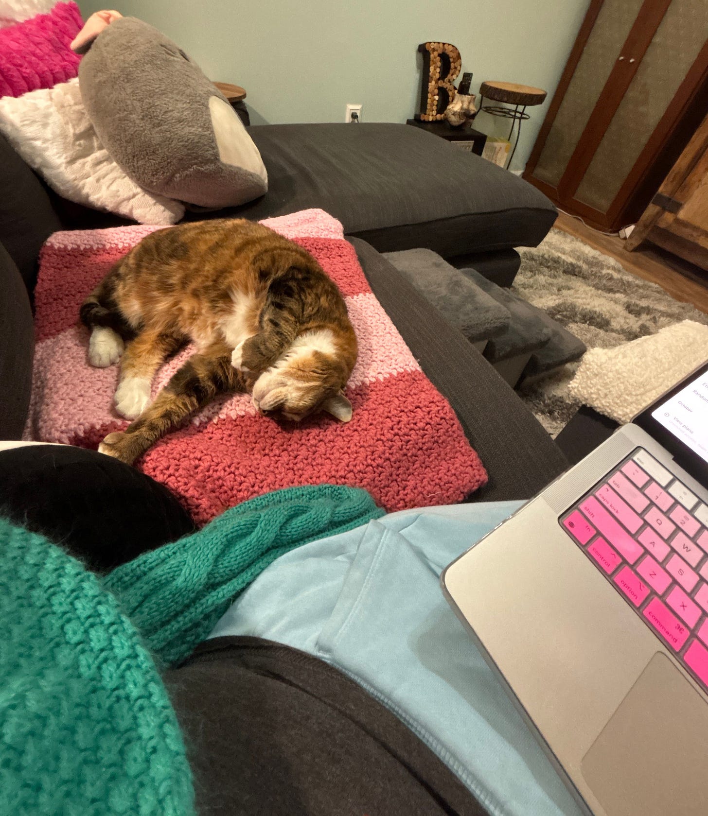 Bird is sleeping happily on the couch on their side with one arm outstretched. Their fur is a warm glow of orange brown and white and grey. Bird is sleeping happily on the couch on their side with one arm outstretched. Their fur is a warm glow of orange brown and white and grey.