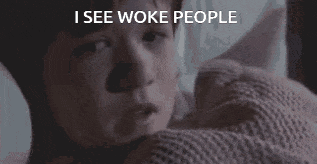 Scene from The Sixth Sense with overlay text “I SEE WOKE PEOPLE,” mocking bad-faith takes on the Top 10 poll results.