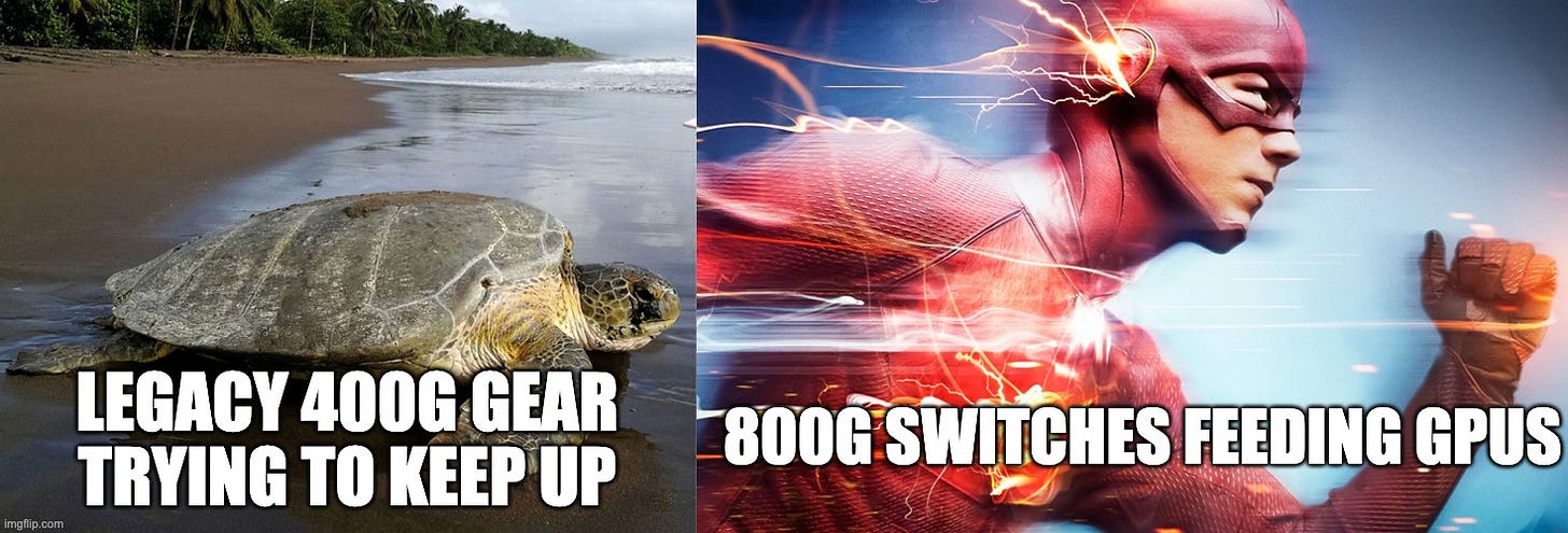 Beating The Tide CLS deep dive meme showing a turtle labeled ‘Legacy 400G gear trying to keep up’ versus The Flash labeled ‘800G switches feeding GPUs’ to illustrate Celestica’s 800G advantage in AI infrastructure.