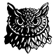 Mopoke Cloud Newsletter