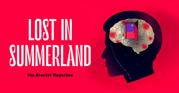 Lost In Summerland Lost In Summerland