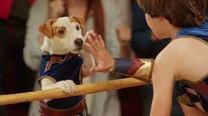 dog high five