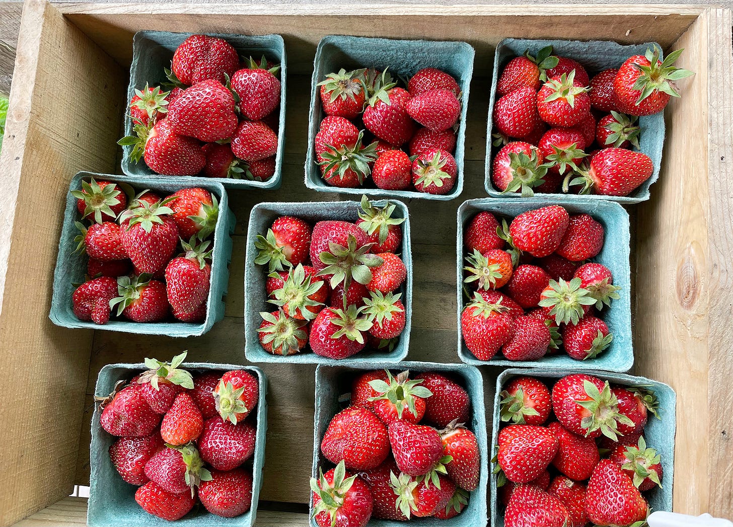Martha's Vineyard strawberries, Cook the Vineyard