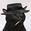 User's avatar