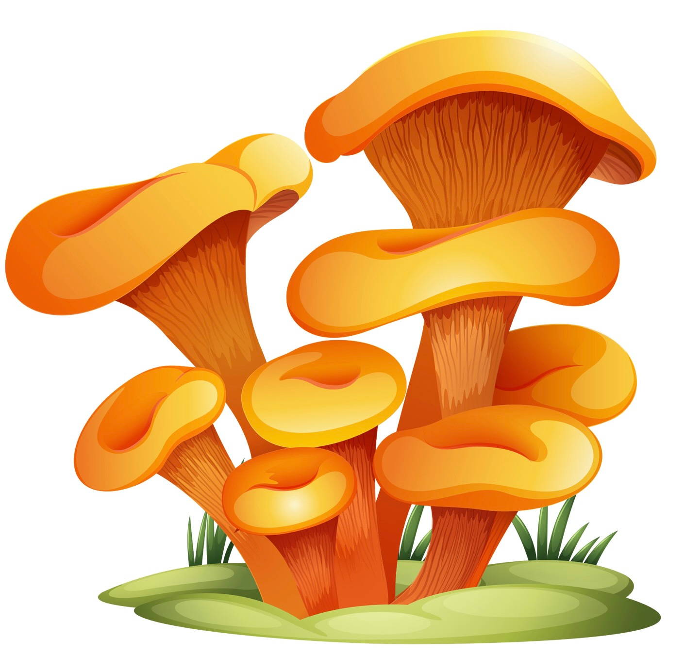 Artwork for mycelial musings