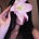عشتار's avatar