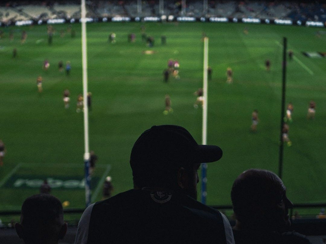 Spectators watch a sports game at a stadium.