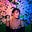 Natalie M.'s avatar