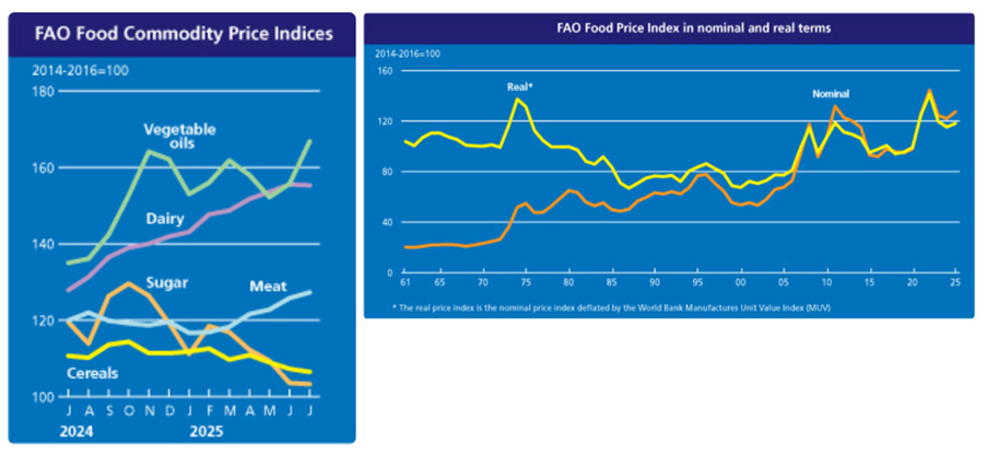 A blue and yellow graph

AI-generated content may be incorrect.