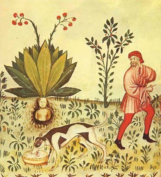 This may contain: an old painting with a man and dog in the grass next to flowers, plants and fruit
