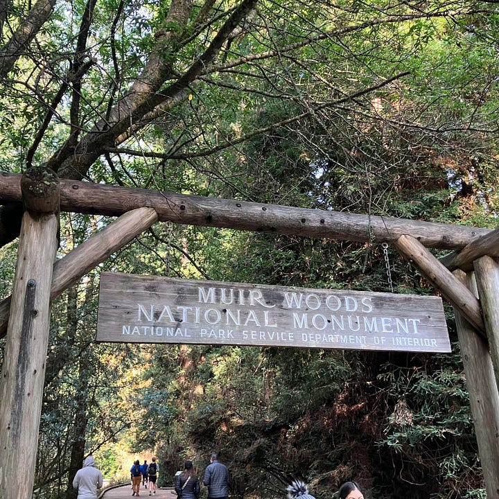 Map, Muir Woods National Monument Sign, trail, trees