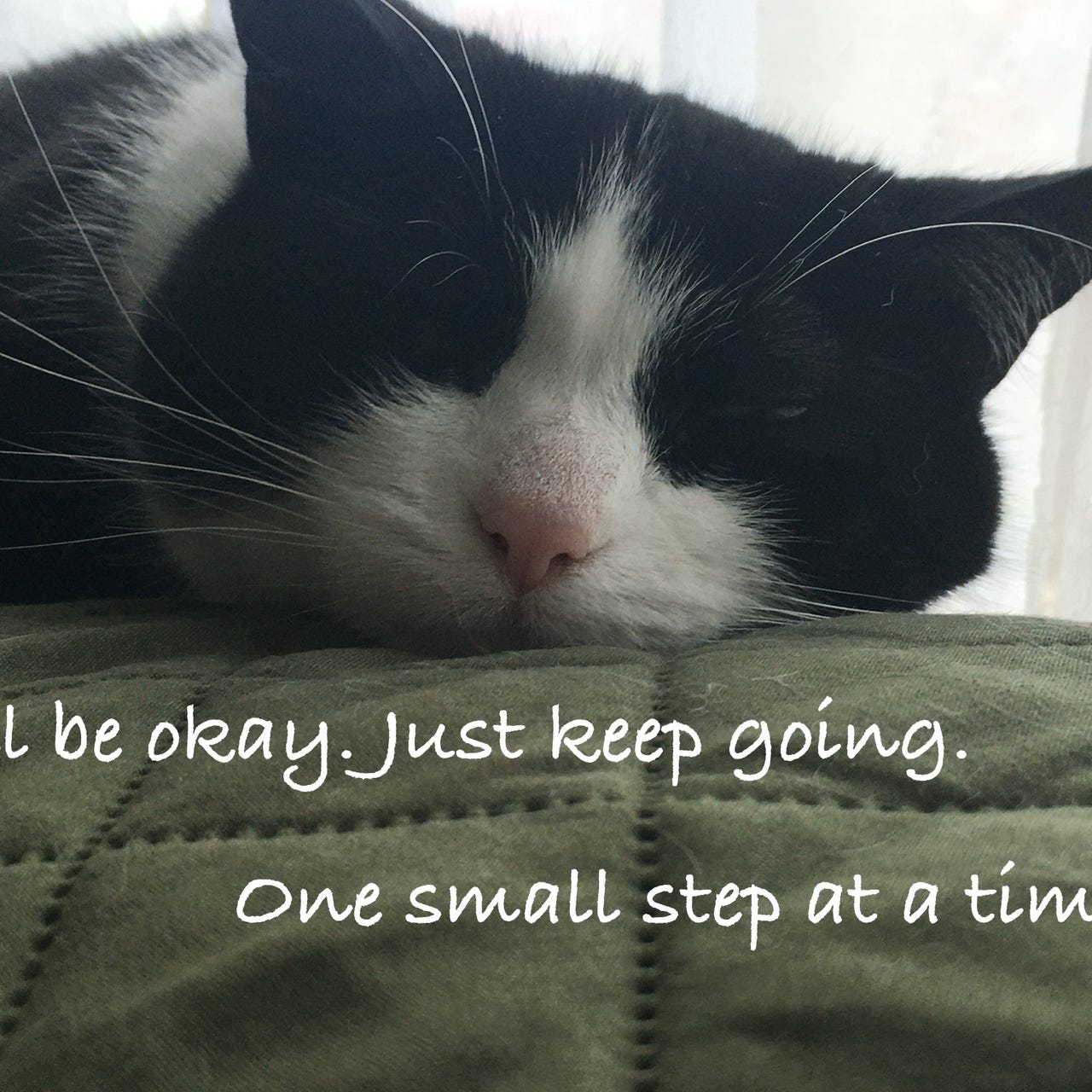 Tales From Beyond the Fog