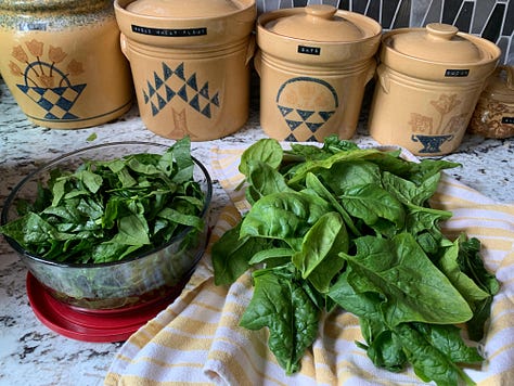 (1) three bowls of vegetarian taco salad on our counter in front of the storage containers from our folk art dishware set, with quilt patterns printed on them; (2) a spicy tofu, summer squash, and rice dish; (3) freshly washed spinach from the garden in front of the same storage containers