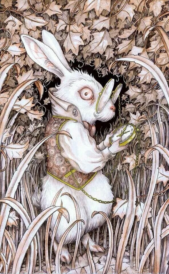 White rabbit | Alice in wonderland illustrations, White rabbit alice in ... White rabbit | Alice in wonderland illustrations, White rabbit alice in ...