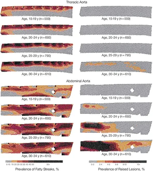 Fatty streaks appeared in all the aortas of the youngest age group (15-19 years) and increased in prevalence and extent with age through the oldest age group (30-34 years). Strong JP, et al. Prevalence and extent of atherosclerosis in adolescents and young adults: implications for prevention from the Pathobiological Determinants of Atherosclerosis in Youth Study. JAMA. 1999)