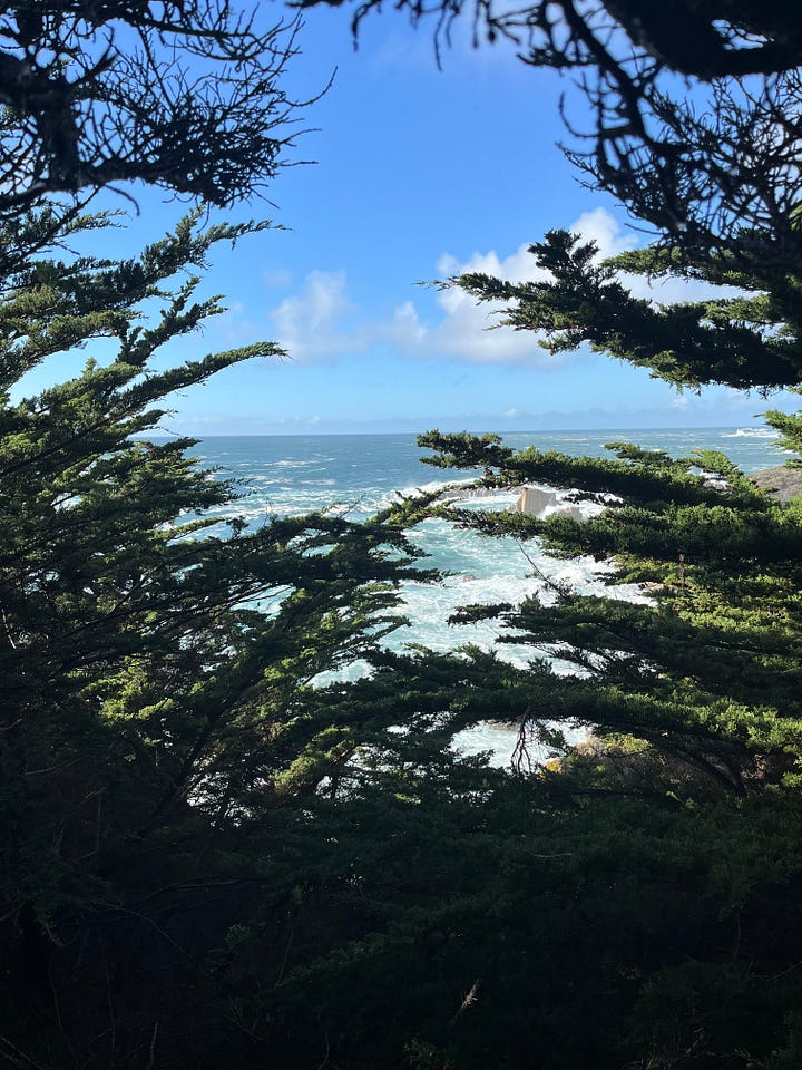 Right to left: An image overlooking the costal California sea capture in between green pine tree. A photo of a light blue sea and light brown sand captured in front of a green fruit tree
