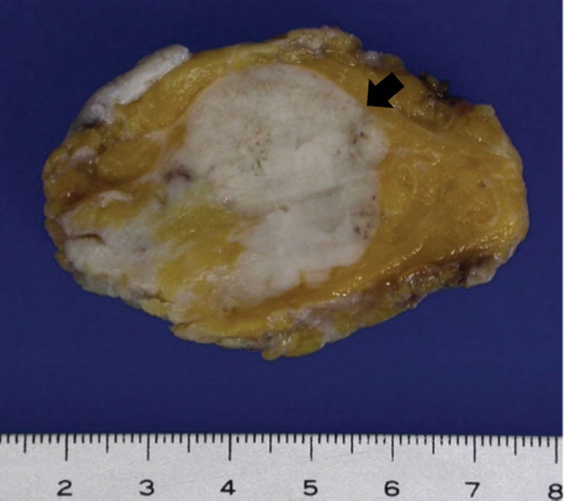 Figure 6. Figure 6.