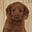 Mark's avatar