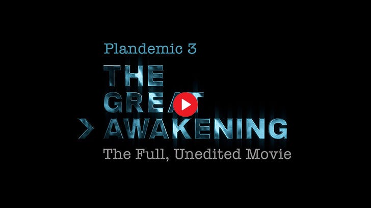 Plandemic 3 - The Great Awakening