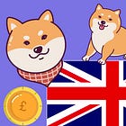 What would DOGE UK look like?