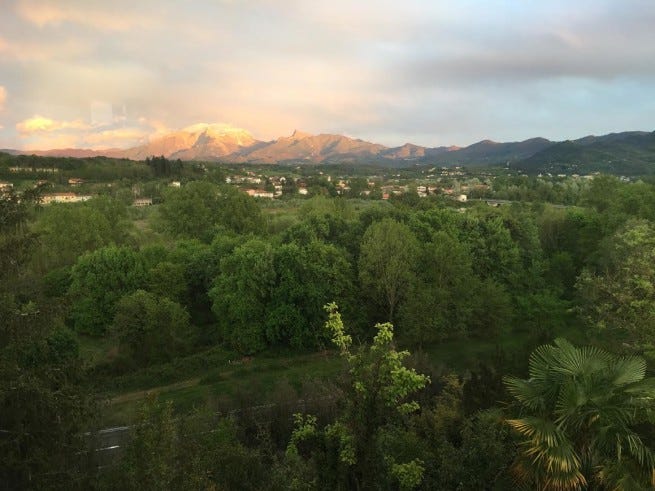 il verde della primavera il verde della primavera
