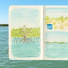 A Day with the Matanzas Riverkeepers