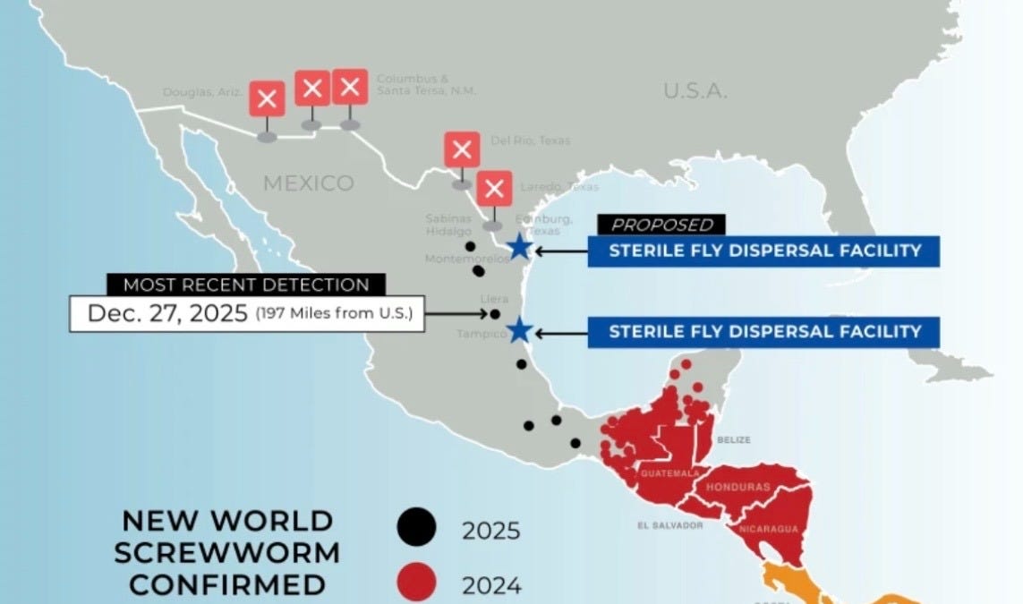 Sexually Transmitted Infections and Mosquito Surveillance: The Hidden Dangers