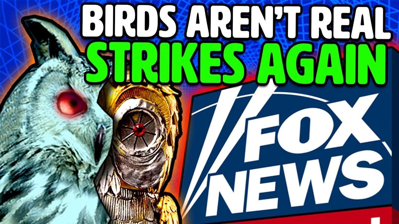 Satirical Conspiracy Group "Birds Aren't Real" TRICKS Fox News into BELIEVING their Trolling