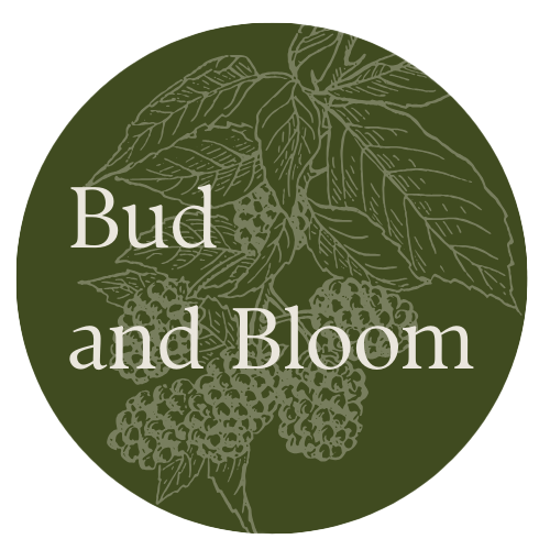 Abbey Adkison | Bud & Bloom
