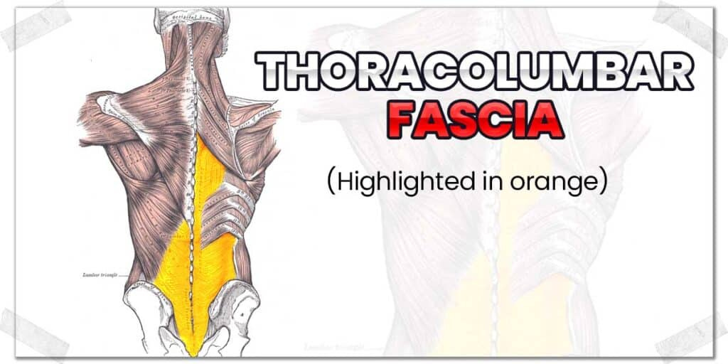 Why You Have Back Pain From Dead Hangs (And How To Fix The Problem) -  Strength Resurgence