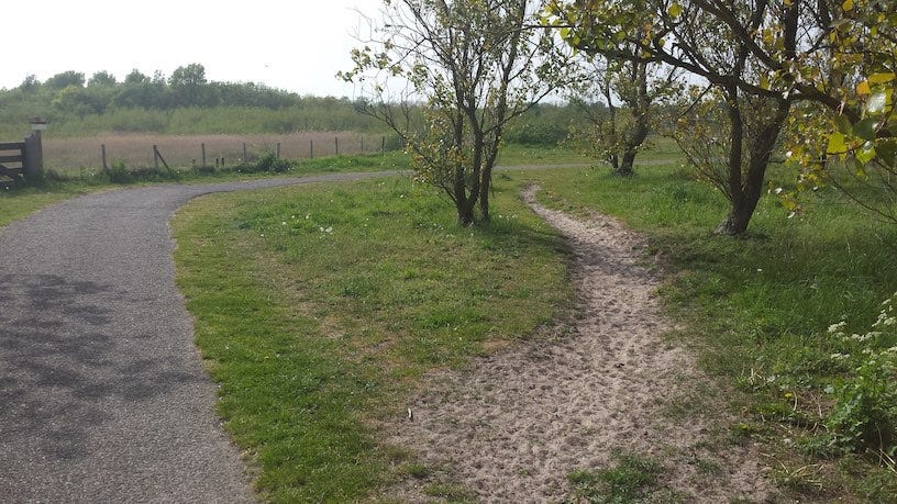 den helder path